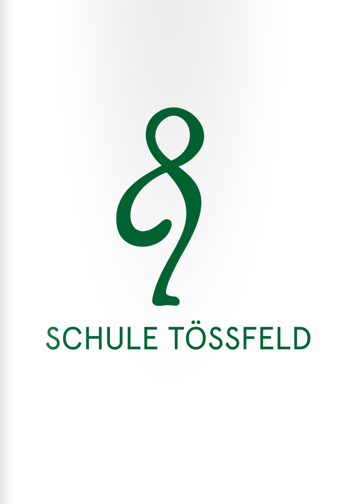 Schule Tössfeld