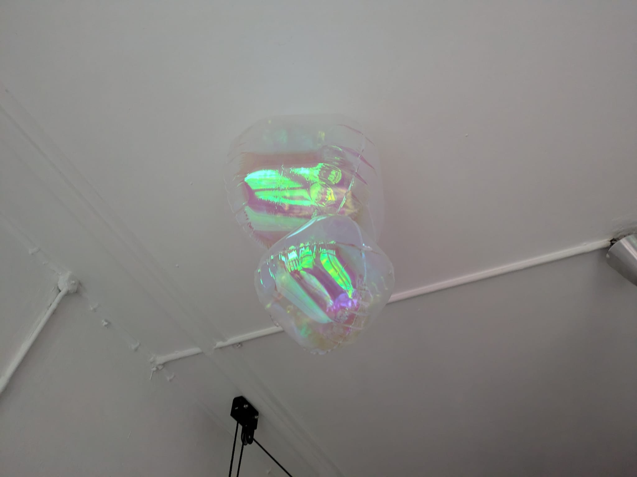 WhatsApp Image 2025-10-21 at 17.02.02 (2)